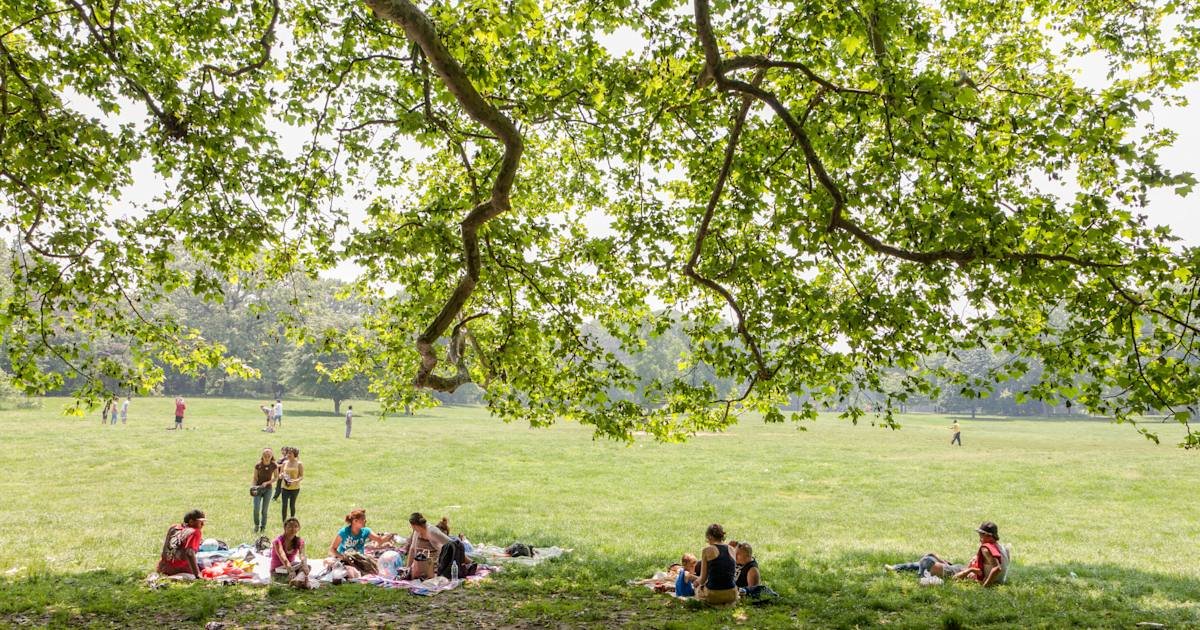 prospect park long meadow